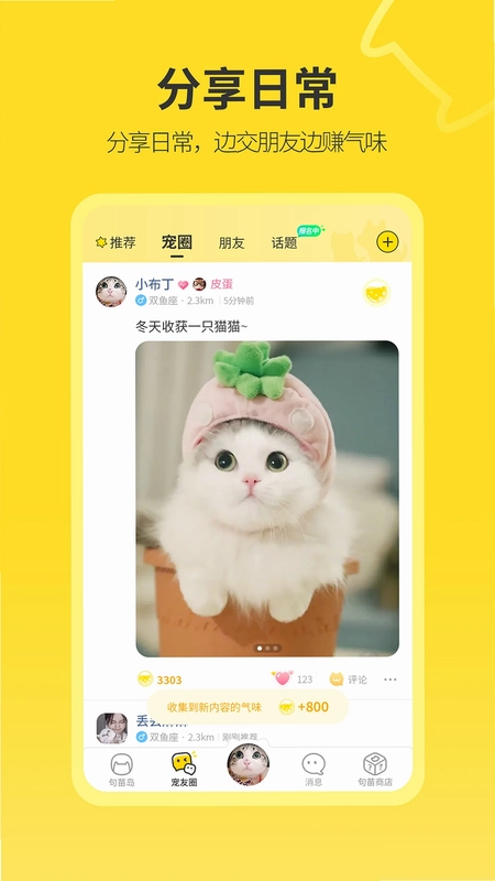 句苗岛预览图