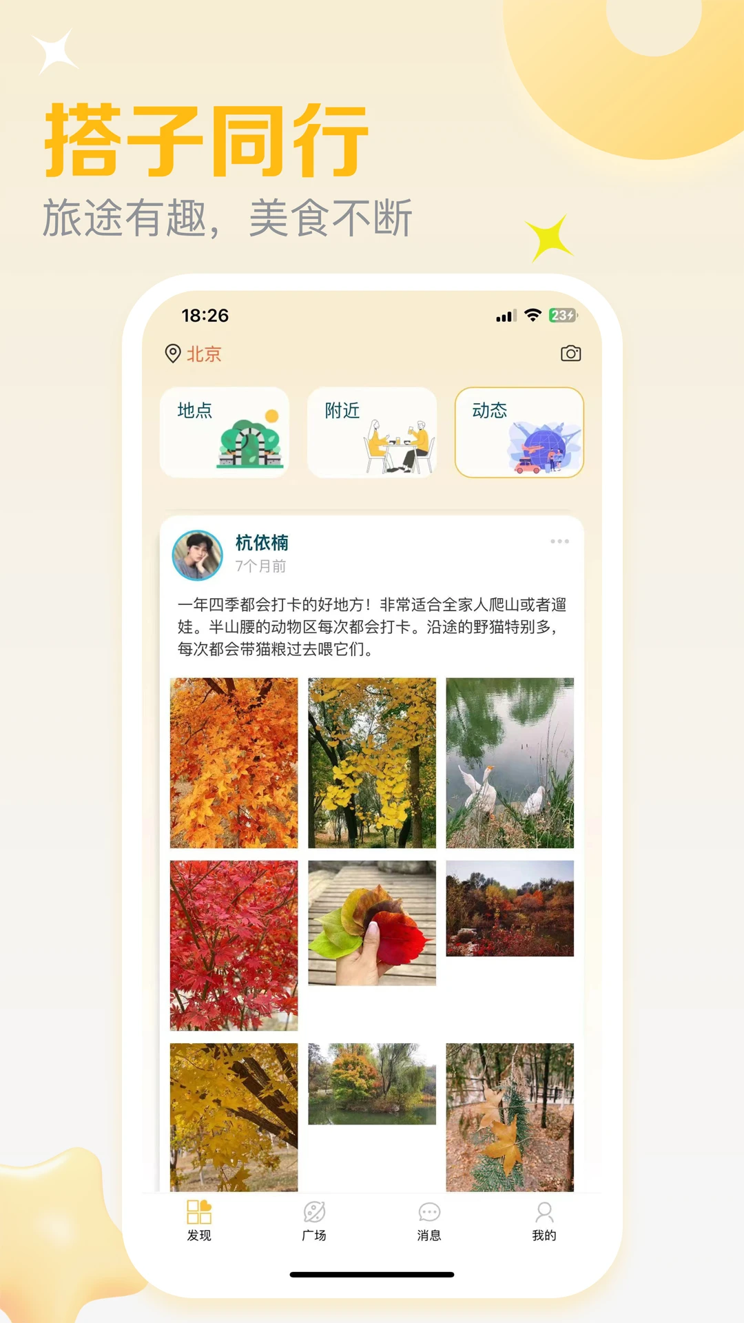 ����e���������