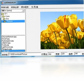 图片浏览转换器预览图