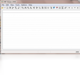 DBF Viewer 2000格式支持