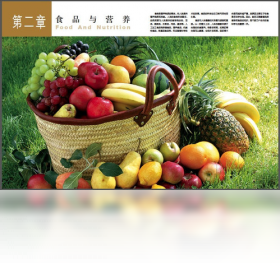家庭健康营养全书预览图