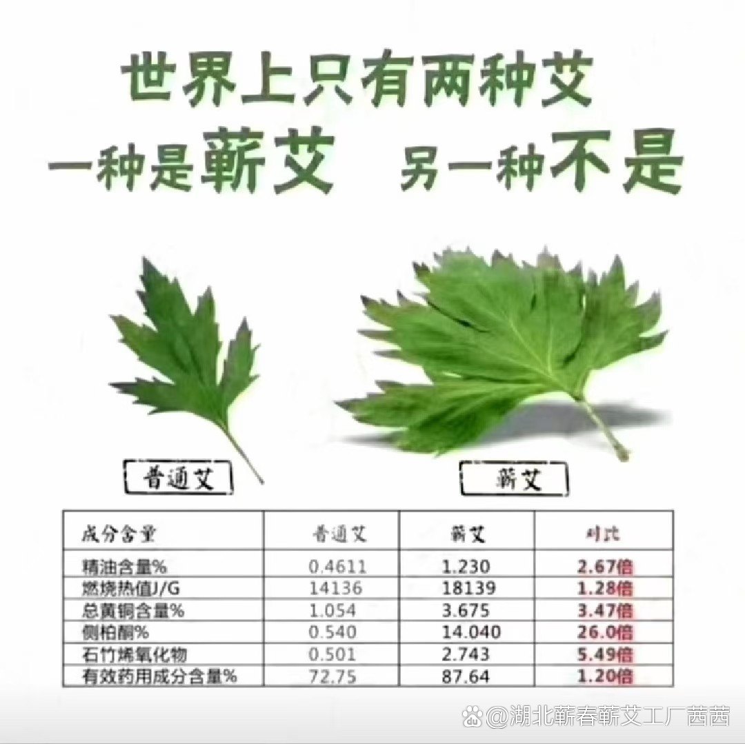思邈艾是什么药效实测对比图