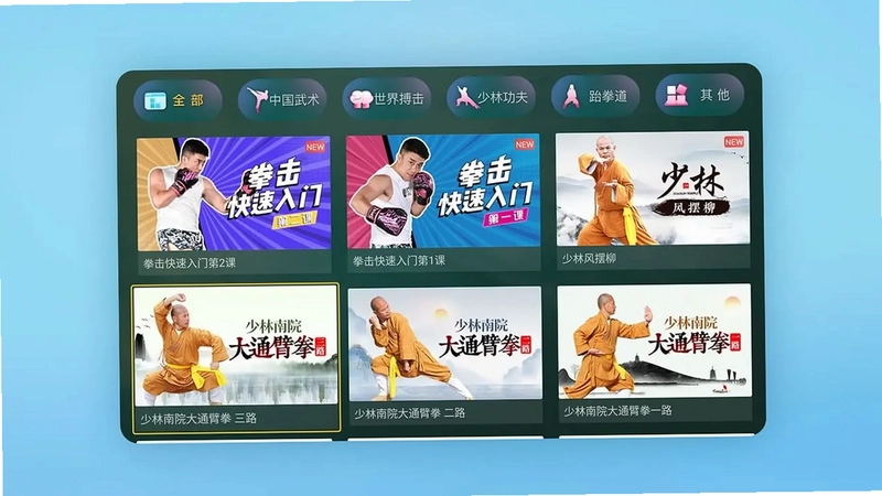 武道馆电视版预览图