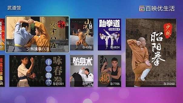 武道馆电视版预览图
