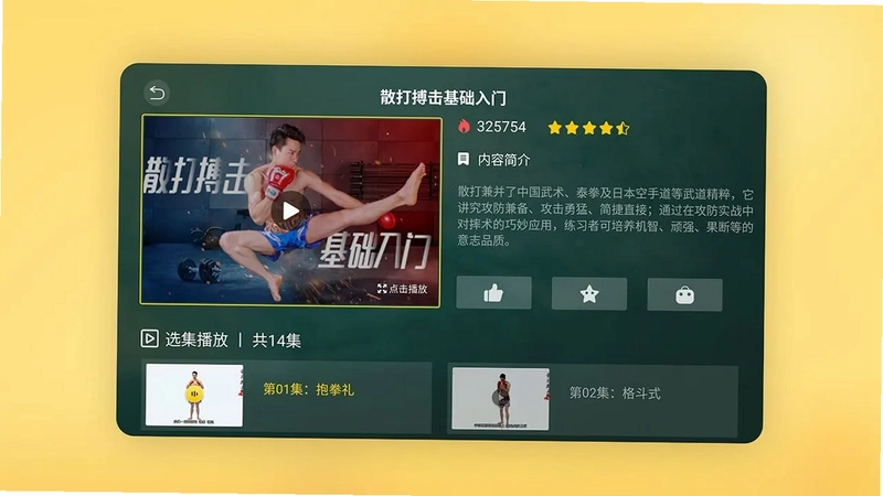 武道馆电视版预览图