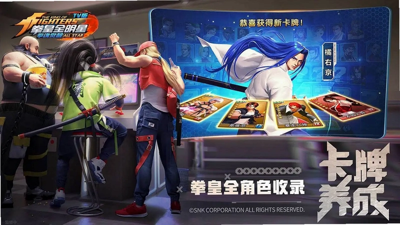 拳魂觉醒tv电视版预览图