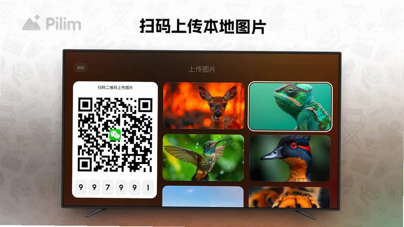 Pilim (电视屏保壁纸)预览图