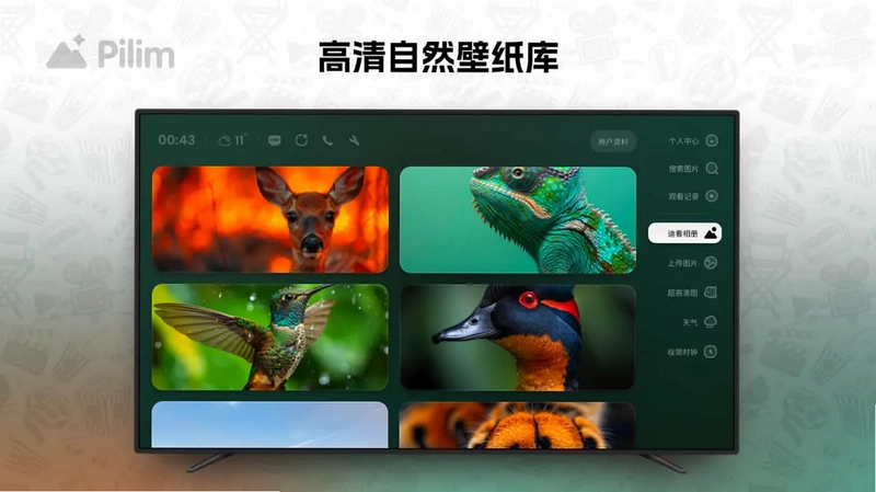 Pilim (电视屏保壁纸)预览图