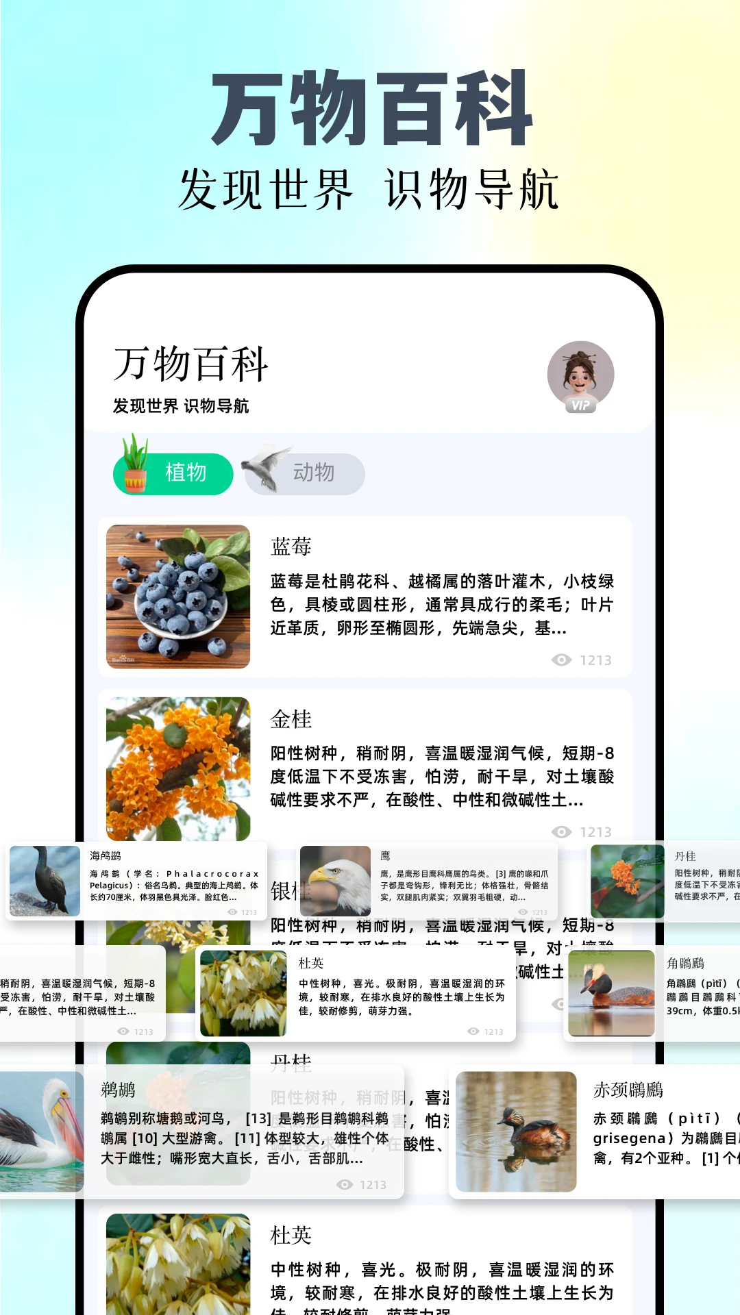 识万物识别花草