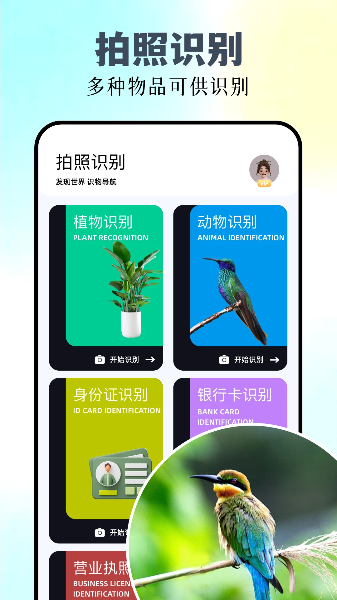 识万物预览图