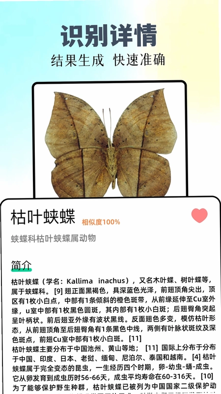 识万物预览图