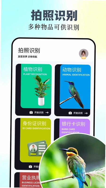识万物预览图