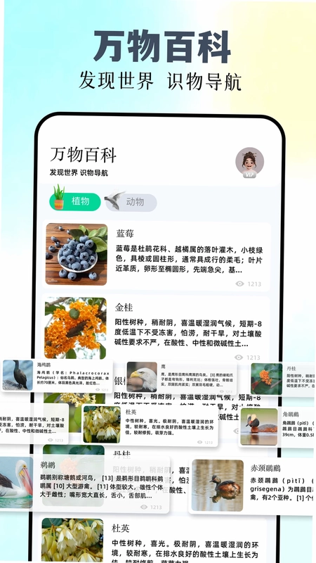 识万物预览图