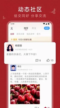 杨氏宗亲预览图