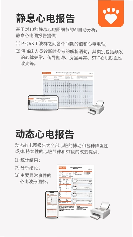 星爱宠预览图