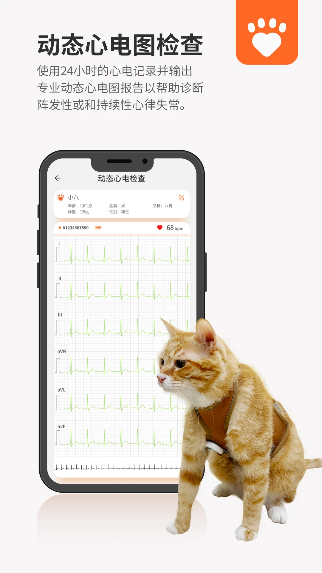 星爱宠设备连接