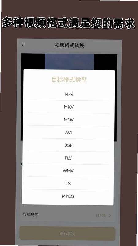 视频格式转换预览图