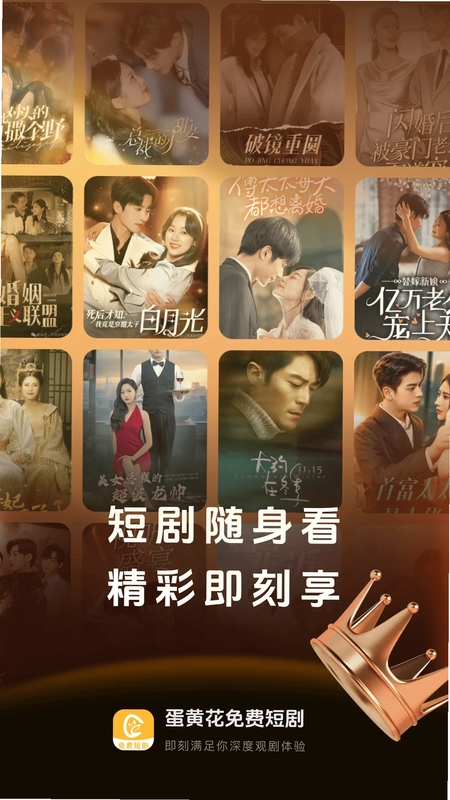 免听FM收音机预览图