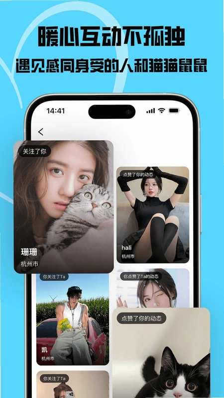 猫匿预览图