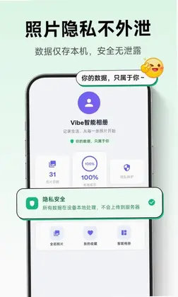 Vibe�������Ԥ��ͼ