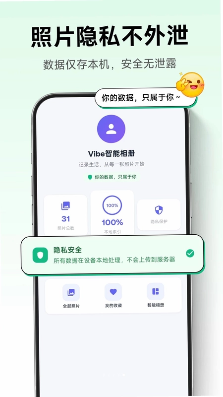 Vibe�������Ԥ��ͼ
