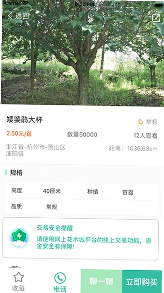 ���ϻ�ľ��Ԥ��ͼ