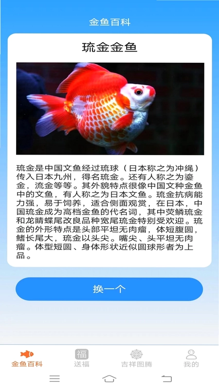 金鱼迎福预览图