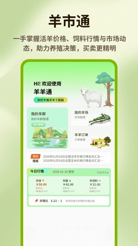 羊羊乐翻天预览图
