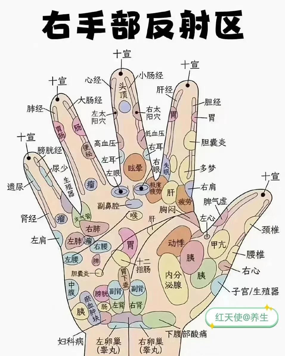情志调理电视版专家演示穴位按揉手法