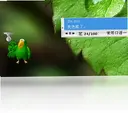 ͨ���վݴ�ӡר��4.0.4.0 ���԰�