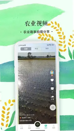 ����ֲ��Ԥ��ͼ