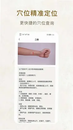 中医穴位图预览图