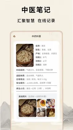 炙源经络穴位大全预览图