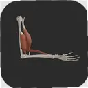 3D�˶�����3.05 ��׿��