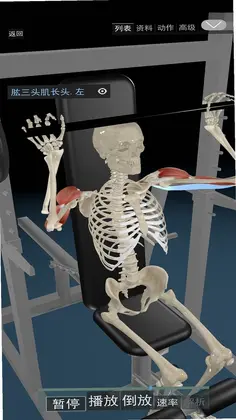 3D运动解剖预览图