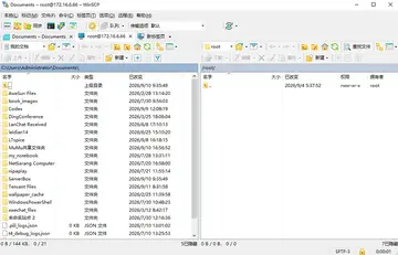 WinSCP中文版预览图