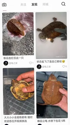 宠友圈预览图