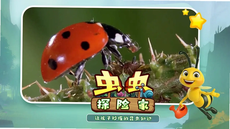 昆虫王国TV预览图