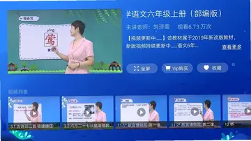 小学同步六年级TV预览图