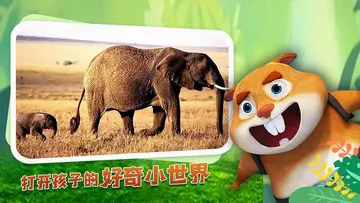 动物乐园电视版预览图