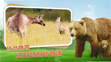 动物乐园电视版预览图