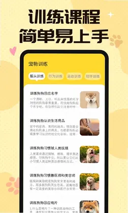 ����è��������appԤ��ͼ