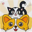 ����è��������app1.0.15 ��׿��