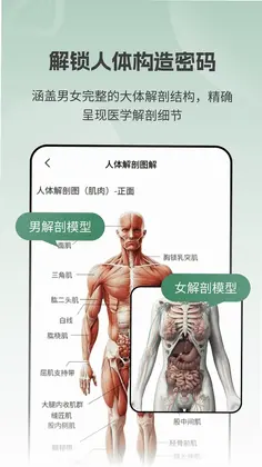 ����ģ��Body����Ԥ��ͼ