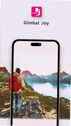 Gimbal JoyԤ��ͼ