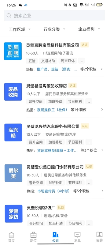 灵璧直聘预览图