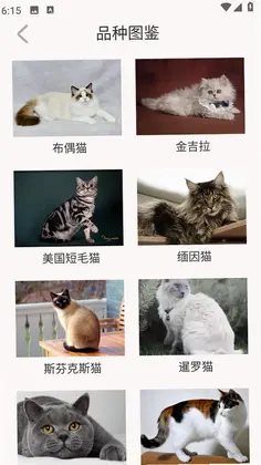���èԤ��ͼ