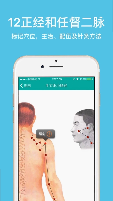 大中医预览图