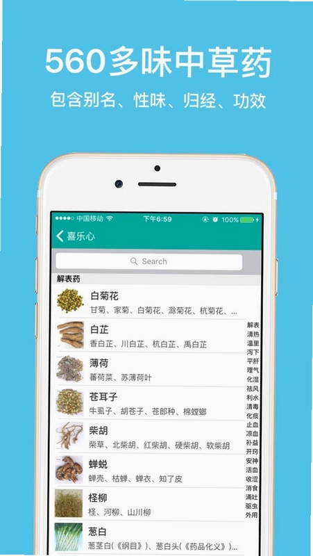 大中医预览图