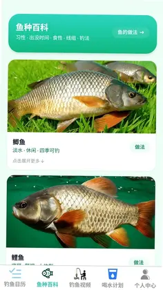 钓鱼王官方版预览图